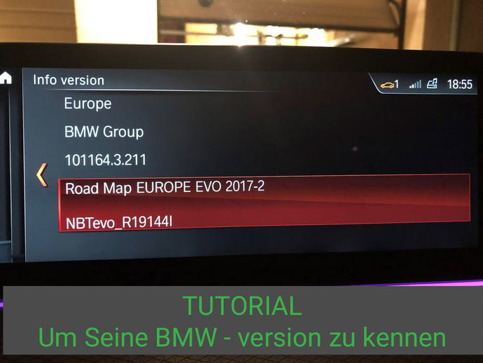 Wie kann ich mich über die BMW Navigationsversion informieren?